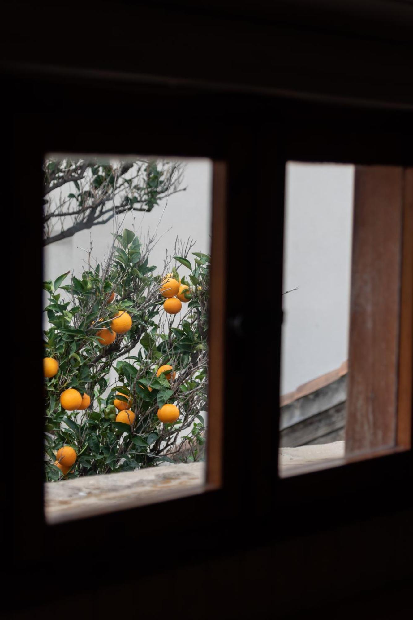 Best Located Duplex Apartment Dubrovnik Bagian luar foto